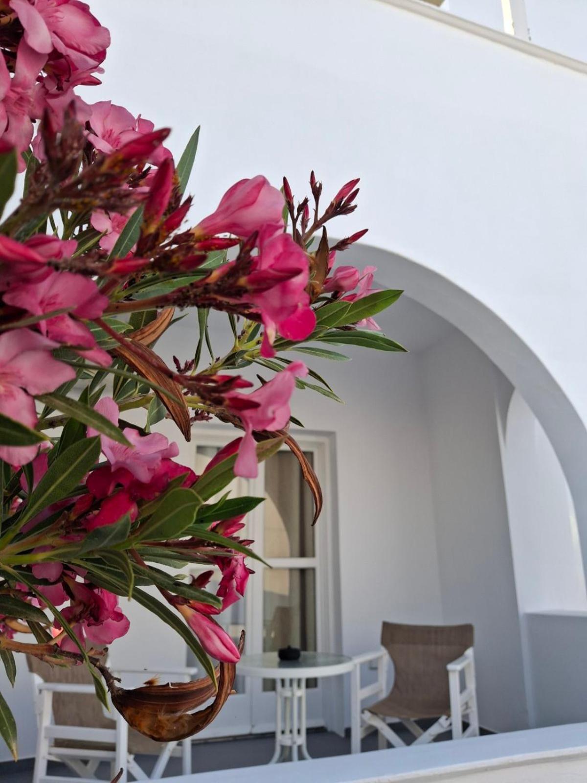 Alloro Perissa Exterior photo